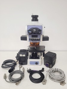 Thumbnail image of Nikon Eclipse E800 Microscope w/ Plan Flour 10x/0.30 Objective Lab