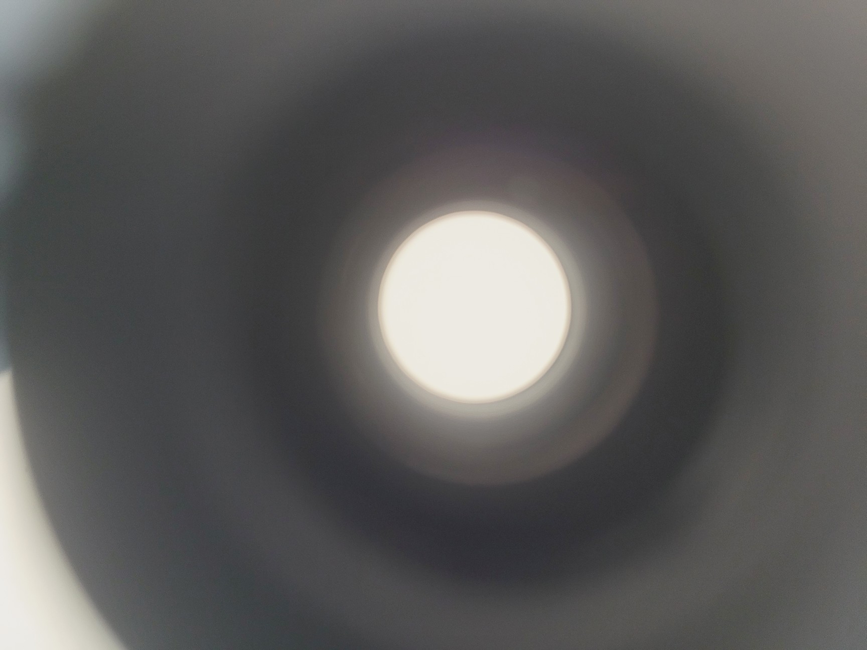 Image of Nikon Eclipse E800 Microscope w/ Plan Flour 10x/0.30 Objective Lab