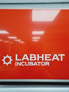 Thumbnail image of BoroLabs LabHeat RLCG0600 Incubator Lab