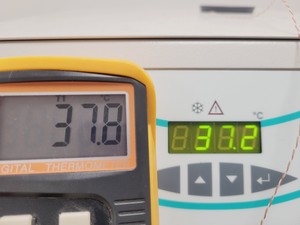 Thumbnail image of Julabo F1000 Recirculating Chiller Lab