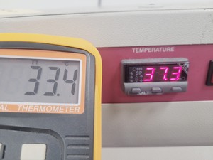 Thumbnail image of LTE Scientific Raven 2 Incubator Lab