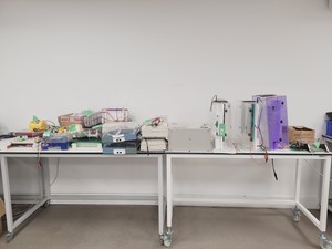 Thumbnail image of Large Lot of Electrophoresis Tanks, Lids & Combs - Bio-Rad, Fisher Lab Job Lot