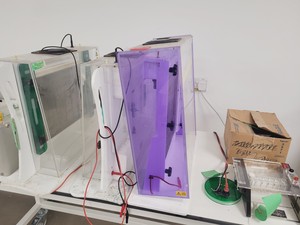Thumbnail image of Large Lot of Electrophoresis Tanks, Lids & Combs - Bio-Rad, Fisher Lab Job Lot