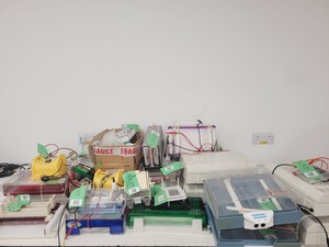 Thumbnail image of Large Lot of Electrophoresis Tanks, Lids & Combs - Bio-Rad, Fisher Lab Job Lot