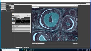 Thumbnail image of Nikon Eclipse NI-U Microscope System with Infinity 3 Camera Lab