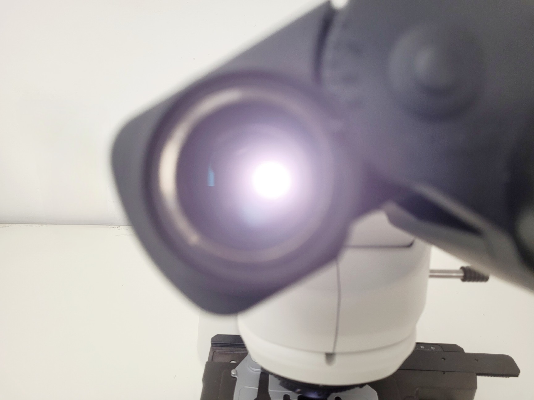 Image of Nikon Eclipse NI-U Microscope System with Infinity 3 Camera Lab