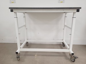 Thumbnail image of Grey Laboratory Trespa Table On Wheels 75x100x90cm LWH Lab