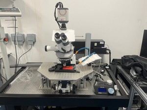 Thumbnail image of  VivoTM 100 Intravital Microscope System - Zeiss Examiner Z1 