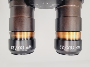 Thumbnail image of Prior PX042 Compound Microscope With 4 x EPLan Objectives Lab