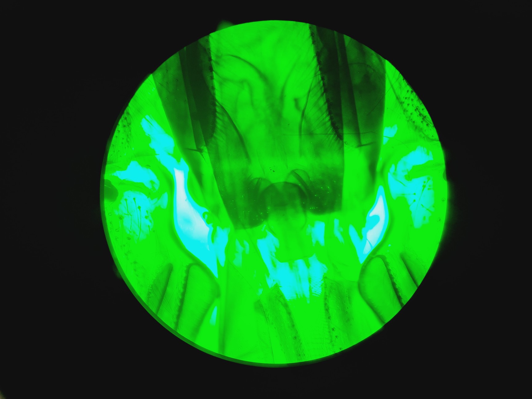 Image of Motic BA310E Fluorescence Microscope w/ 4 x Objectives Motic 100X/1.25 oil Lab 