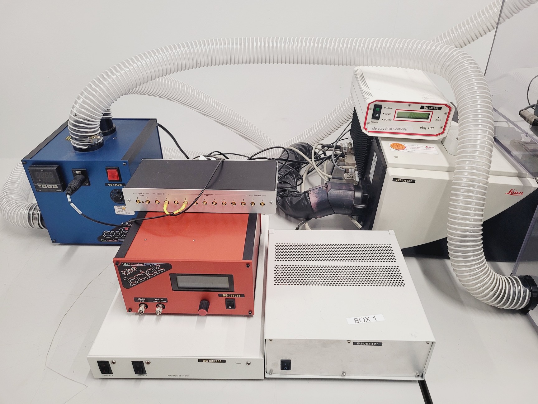 Image of Leica  DMI6000CS  CTR 6000 TCS SP5 Laser Scanning Confocal Microscope System Lab