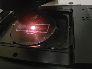Thumbnail image of Leica  DMI6000CS  CTR 6000 TCS SP5 Laser Scanning Confocal Microscope System Lab