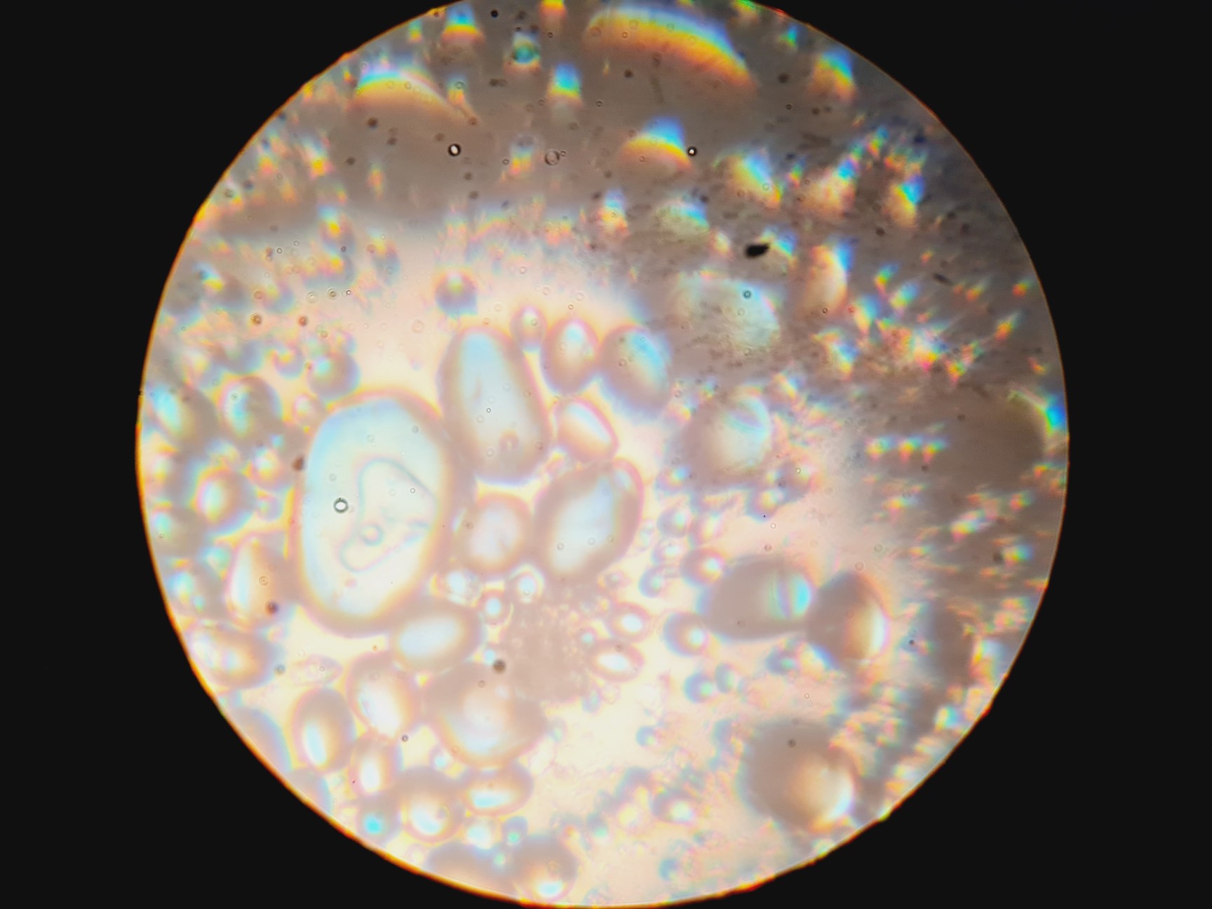 Image of Leica DMIRB Inverted Microscope With 6 Objectives & EBQ 100 PSU Lab