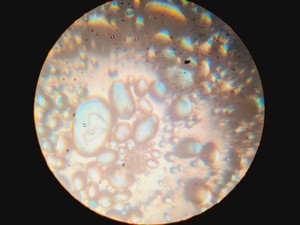 Thumbnail image of Leica DMIRB Inverted Microscope With 6 Objectives & EBQ 100 PSU Lab