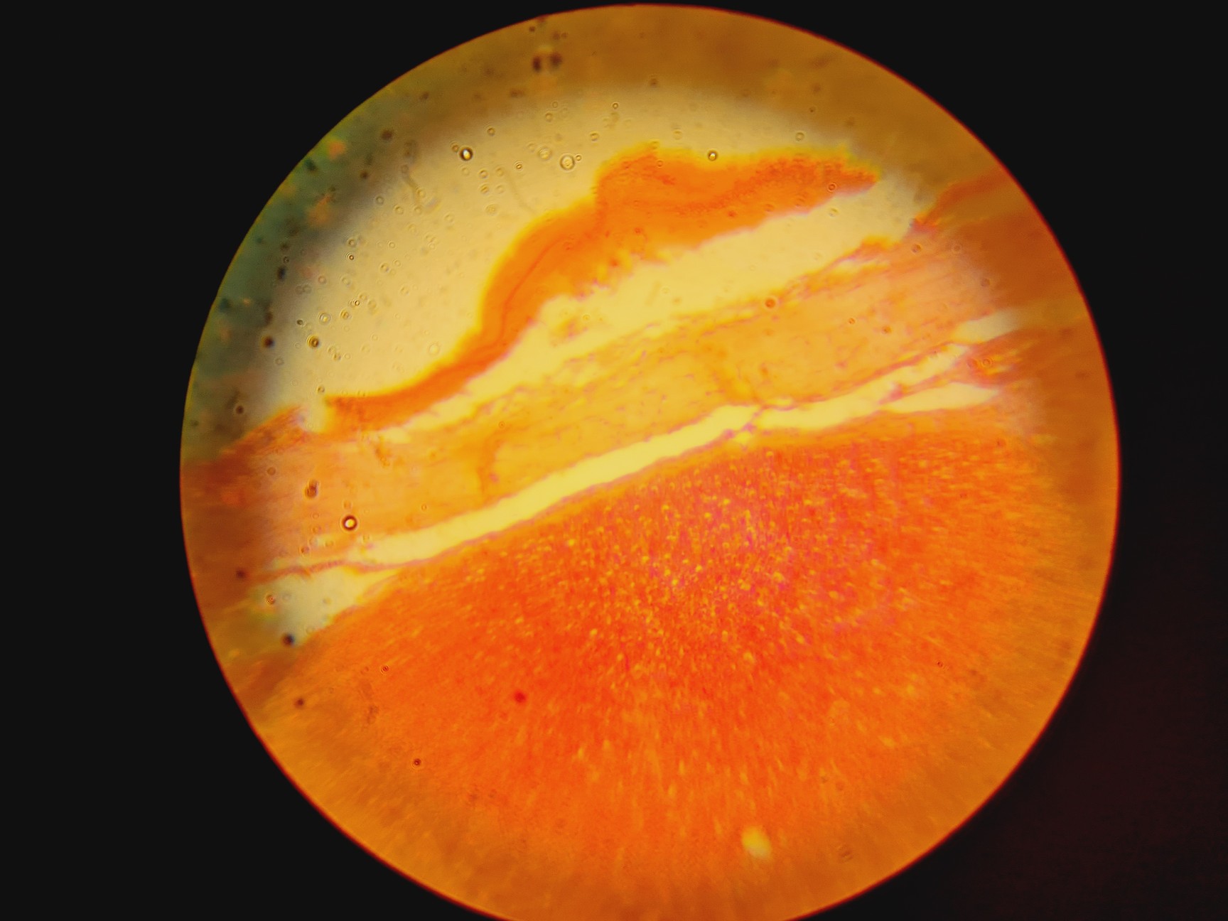 Image of Leica DMIRB Inverted Microscope With 6 Objectives & EBQ 100 PSU Lab