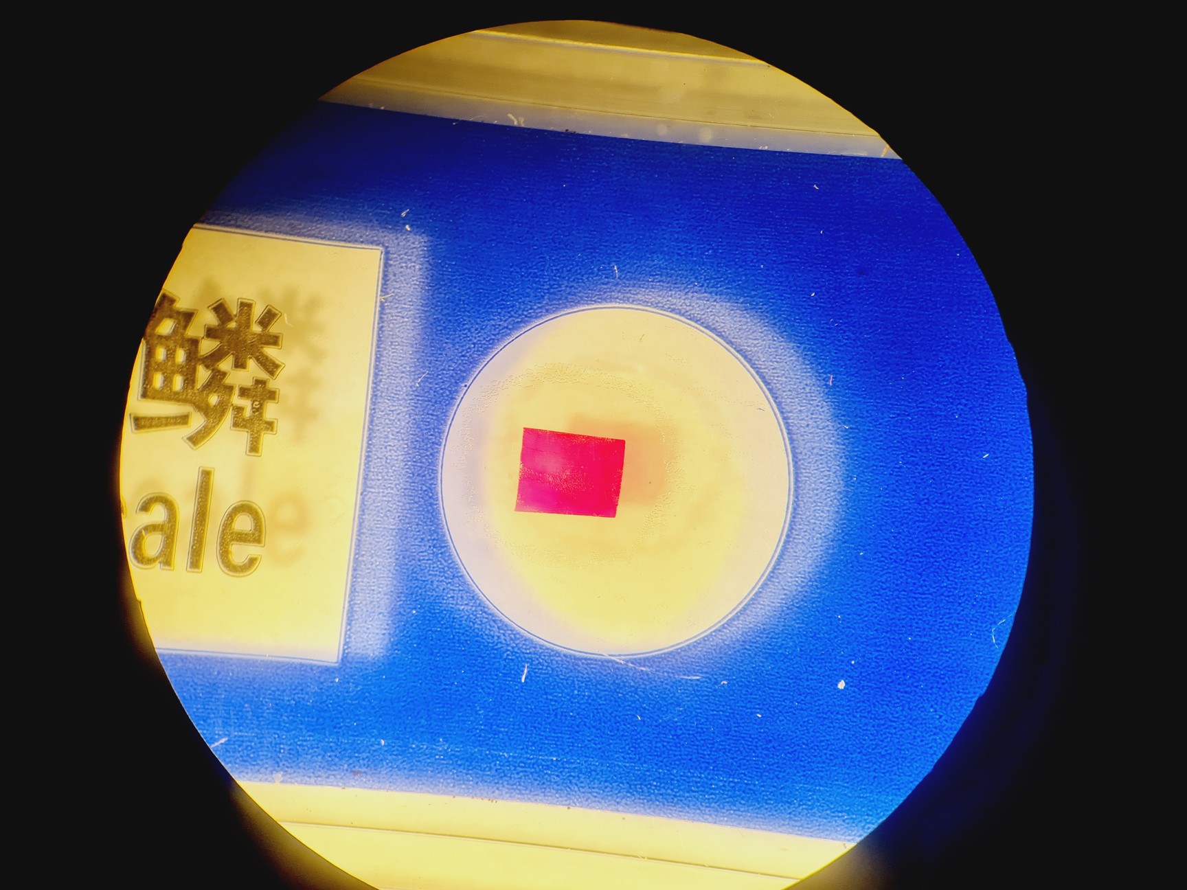 Image of Leica S6D Stereo Microscope 6.3x-40x Leica L2 Lightbox and Schott KL 150 Lab