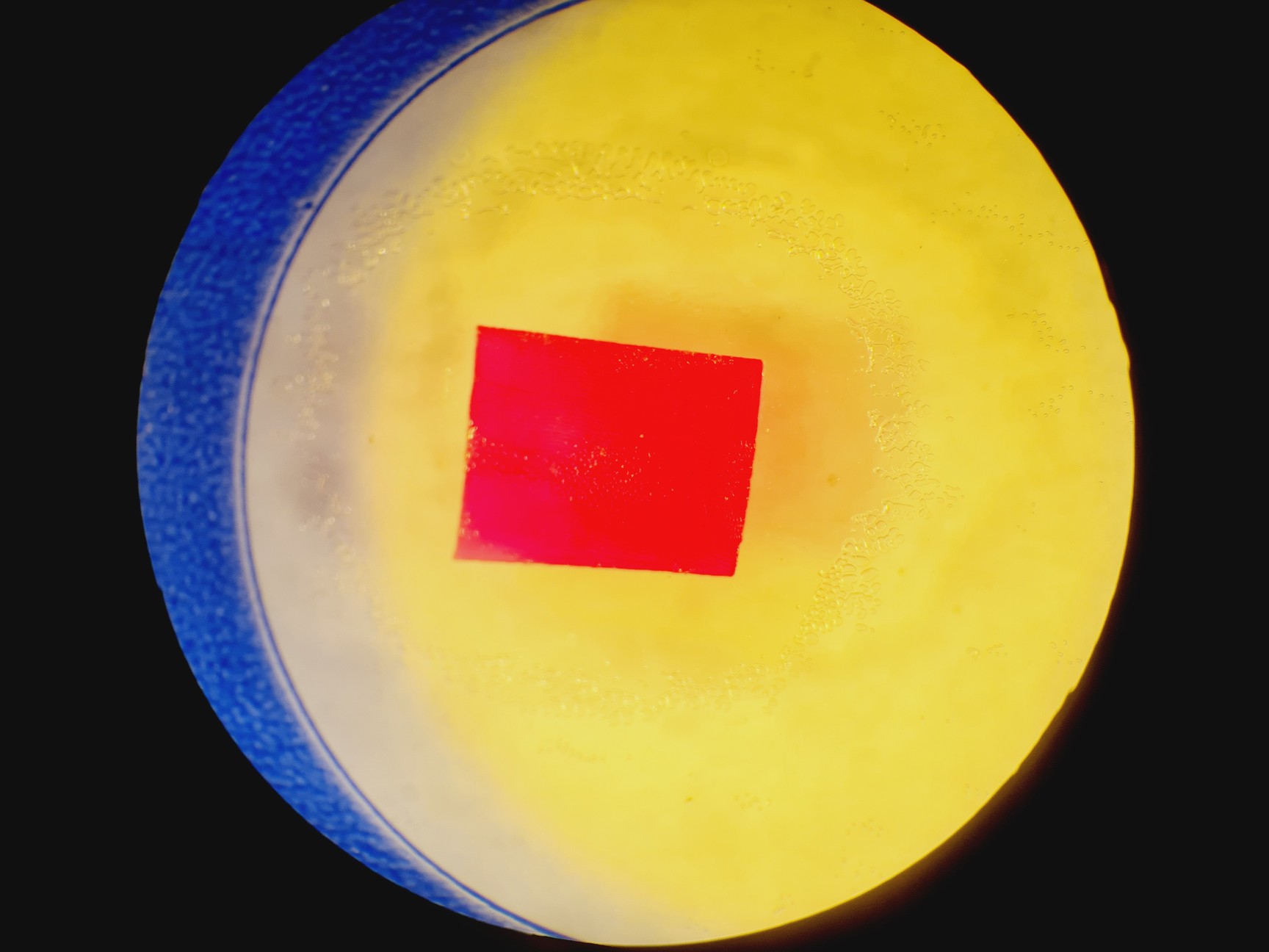 Image of Leica S6D Stereo Microscope 6.3x-40x Leica L2 Lightbox and Schott KL 150 Lab