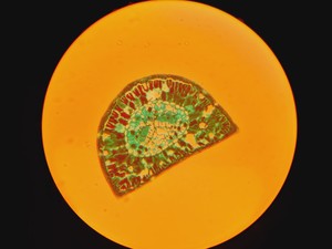 Thumbnail image of Leica DMIRB Inverted Microscope With 5 Objectives & EBQ 100 PSU Lab