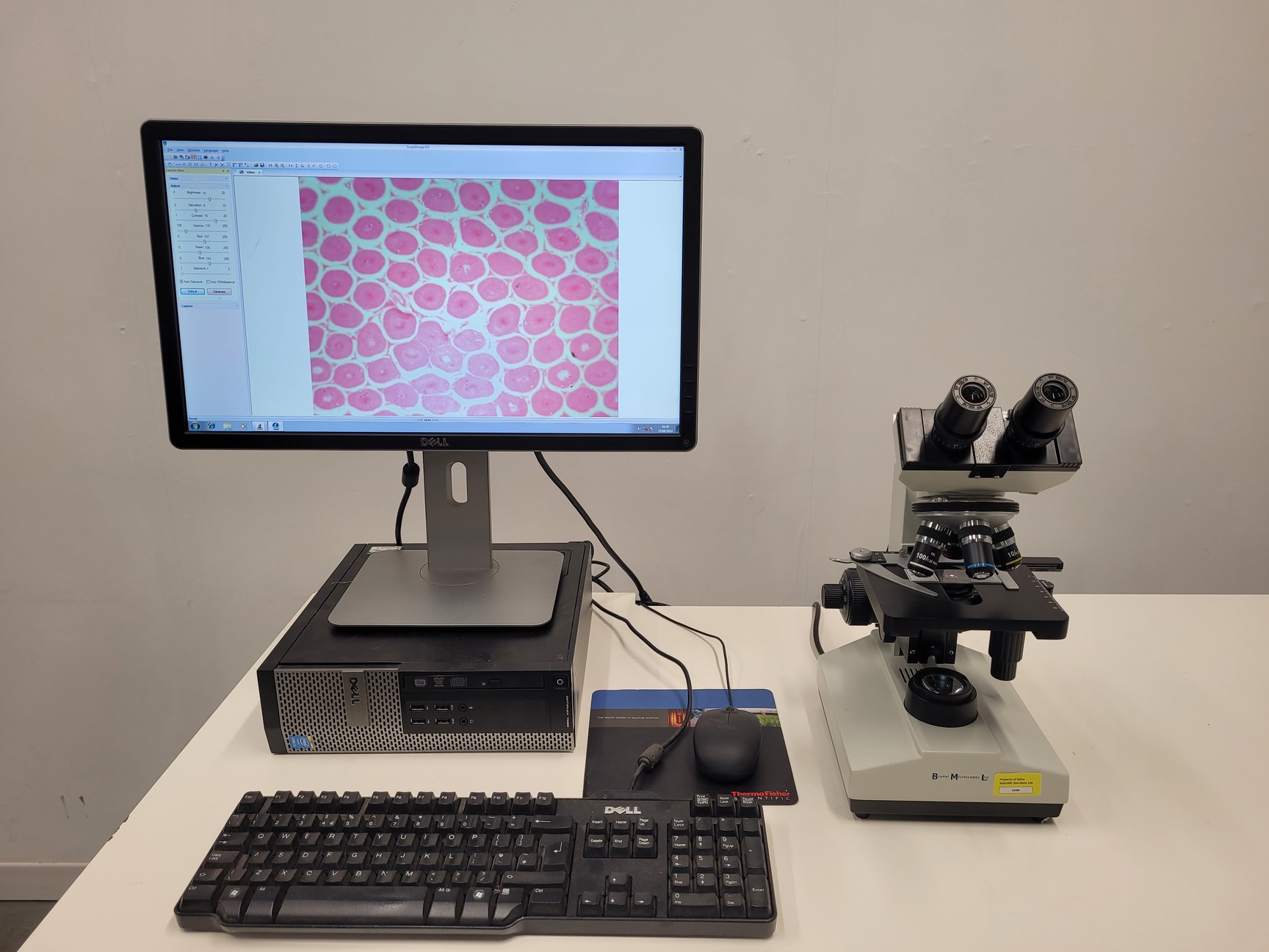 Image of Brunel Sp-55 Digital Compound Microscope Integral Camera -X3 with Software