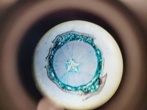 Thumbnail image of Brunel Sp-55 Digital Compound Microscope & Integral Camera -X3 with Software