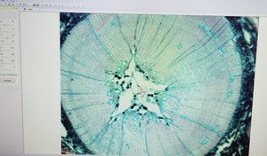 Thumbnail image of Brunel Sp-55 Digital Compound Microscope & Integral Camera -X3 with Software