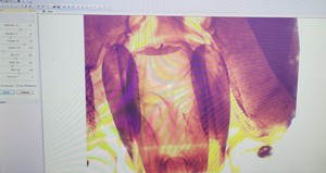 Thumbnail image of Brunel Sp-55 Digital Compound Microscope & Integral Camera -X3 with Software