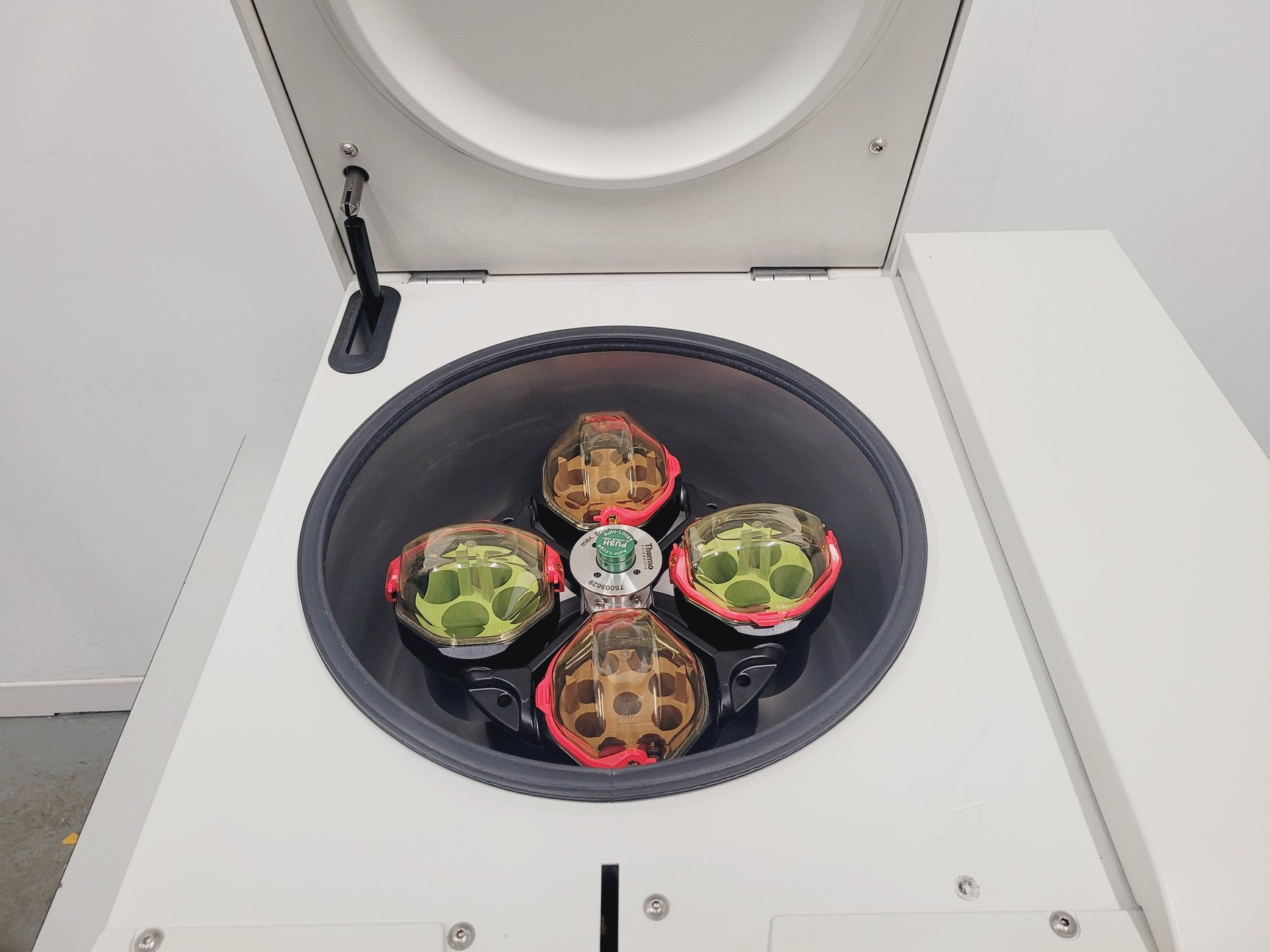 Image of Thermo Scientific Heraeus Megafuge 16R Centrifuge