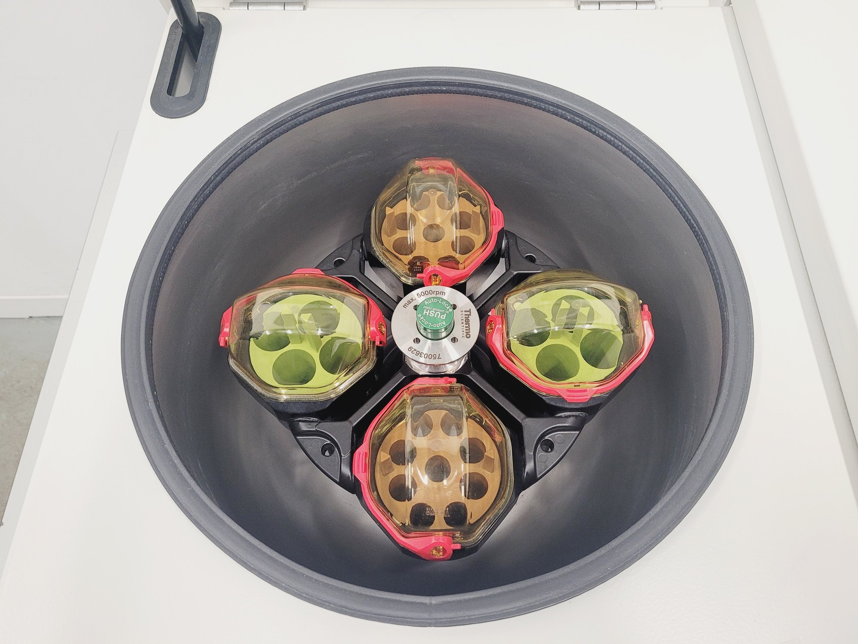 Image of Thermo Scientific Heraeus Megafuge 16R Centrifuge