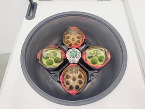 Thumbnail image of Thermo Scientific Heraeus Megafuge 16R Centrifuge