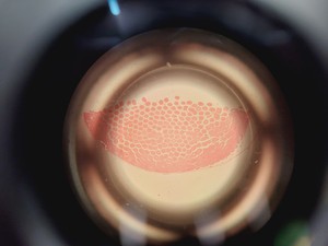 Thumbnail image of Olympus BX45TF Microscope Ww/ Camera Mount, Adapter & 5x Objective UPlan Apo Lab