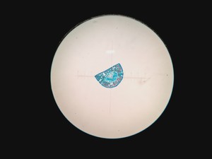 Thumbnail image of Novex Microscope B-Range w/ 4 Objectives SP4 SP 10/40/100 Oil Lab