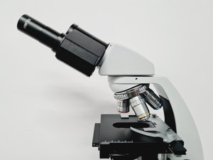 Thumbnail image of Novex B LED Series Microscope w/ 4 x Objective 100/40/10 Oil Lab