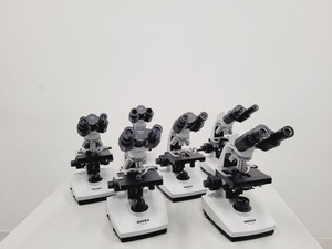 Image of Lot of 6 Novex Holland B Series Microscopes w/ SP4/0.10 160/-, SP10/0.25 160/-