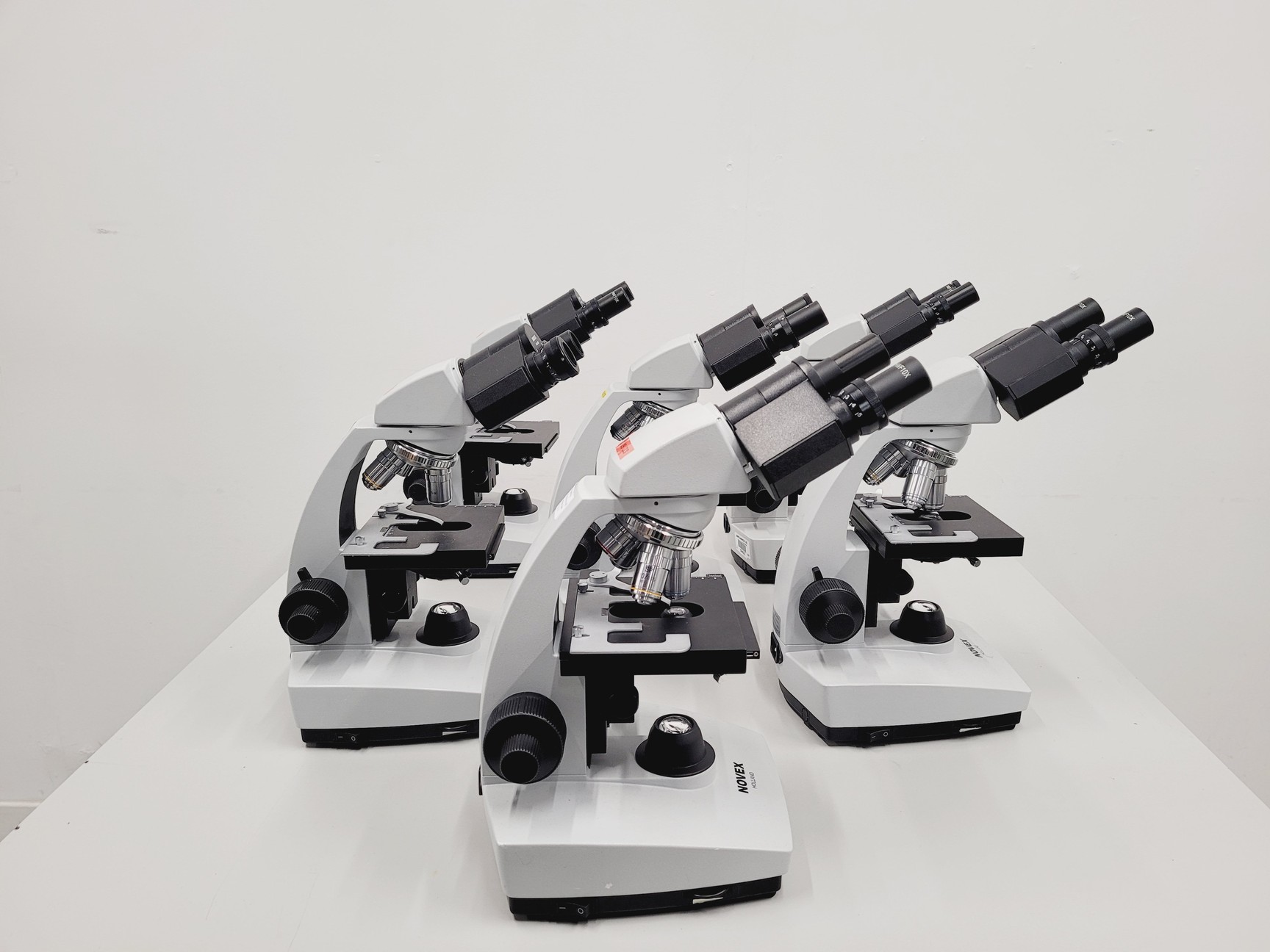 Image of Lot of 6 Novex Holland B Series Microscopes w/ SP4/0.10 160/-, SP10/0.25 160/-