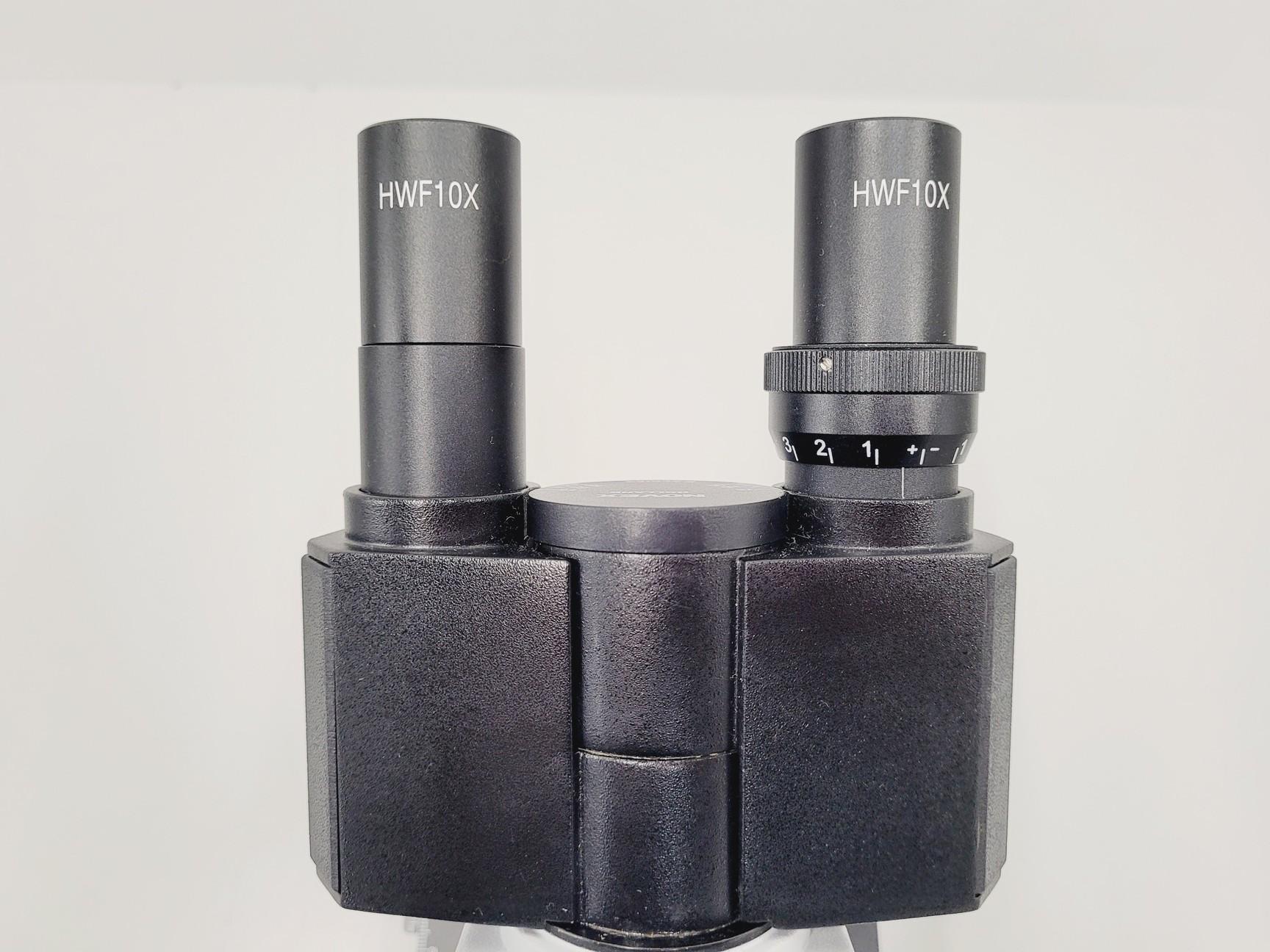 Image of Lot of 6 Novex Holland B Series Microscopes w/ SP4/0.10 160/-, SP10/0.25 160/-