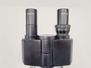 Thumbnail image of Lot of 6 Novex Holland B Series Microscopes w/ SP4/0.10 160/-, SP10/0.25 160/-