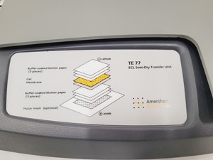 Thumbnail image of Amersham Biosciences TE 77 ECL Semi-Dry Transfer Unit Lab