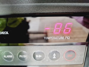 Thumbnail image of Sanyo Ultra Low Temperature Freezer Model: MDF-594 Lab