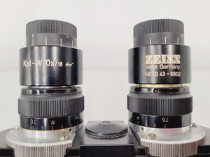 Thumbnail image of Carl Zeiss Compound Microscope w/ 39 25 33 Transformer 5 x Objectives 10/25/40x