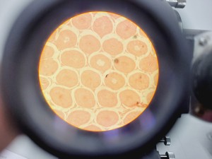 Thumbnail image of Carl Zeiss Compound Microscope w/ 39 25 33 Transformer 5 x Objectives 10/25/40x