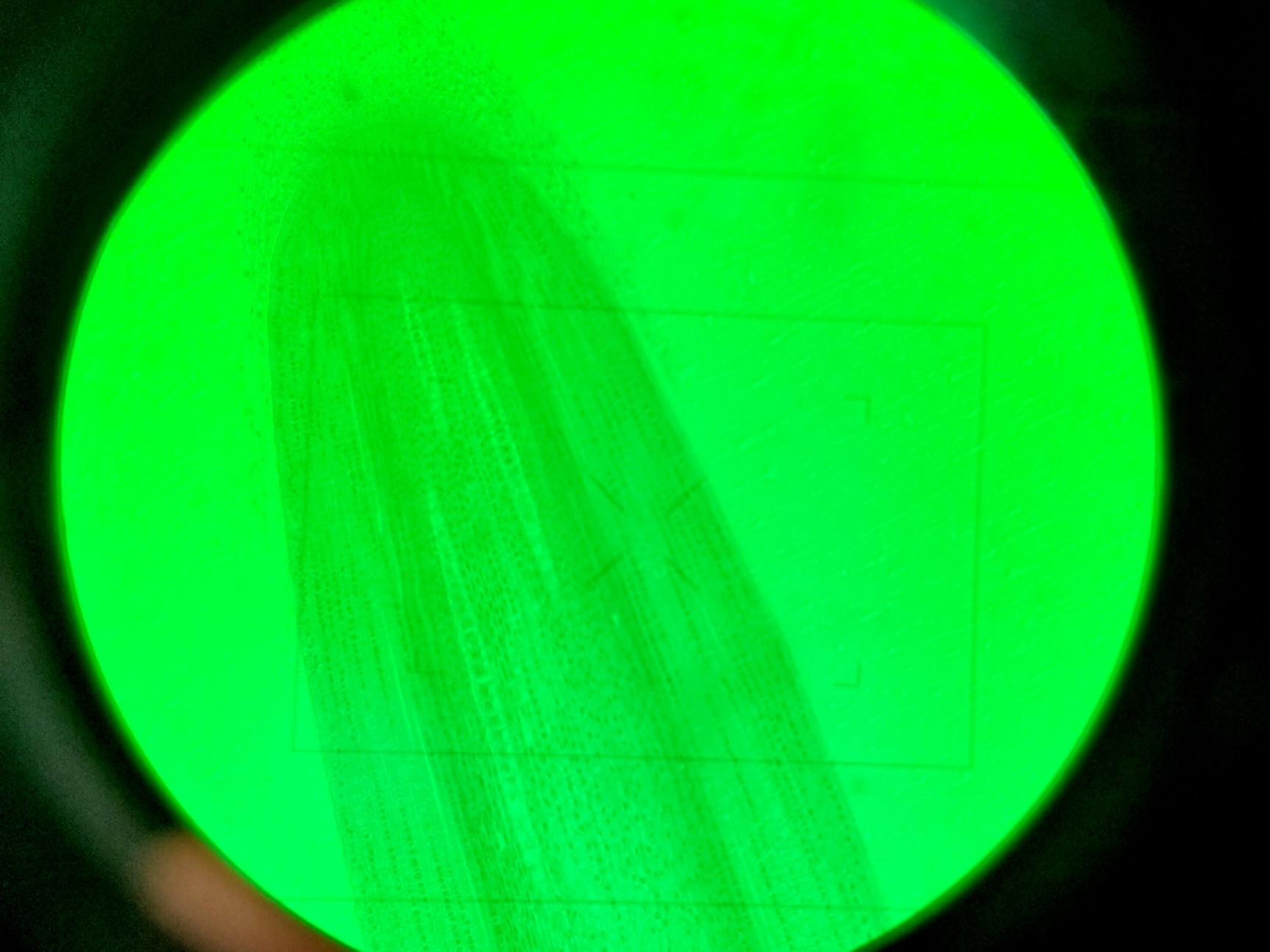 Image of Nikon Eclipse TE 2000-U Inverted Fluorescence Microscope - No Objectives