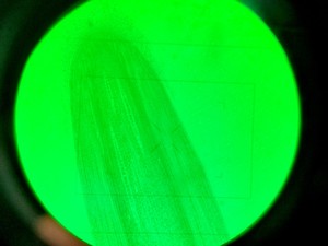 Thumbnail image of Nikon Eclipse TE 2000-U Inverted Fluorescence Microscope - No Objectives