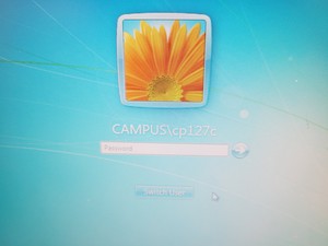 Thumbnail image of Shimadzu Prominence 20 UFLC HPLC System