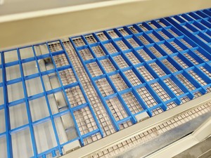Thumbnail image of Scanbur Scantainer Cabinet Model 50-SCNT-1-110 - Animal Welfare Lab