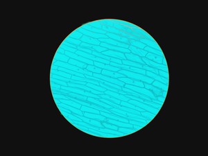 Thumbnail image of Leica Type 090-135.008-000 Inverted Microscope w/ 4 x Objectives 4x/10x/20x Lab