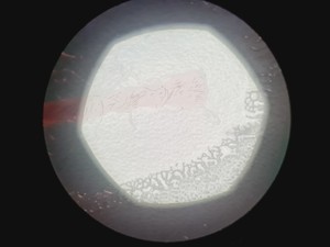 Thumbnail image of Zeiss Axio Vert A1 Microscope w/ 5 x Objectives 5x/10x/20x/50x/100x & Software