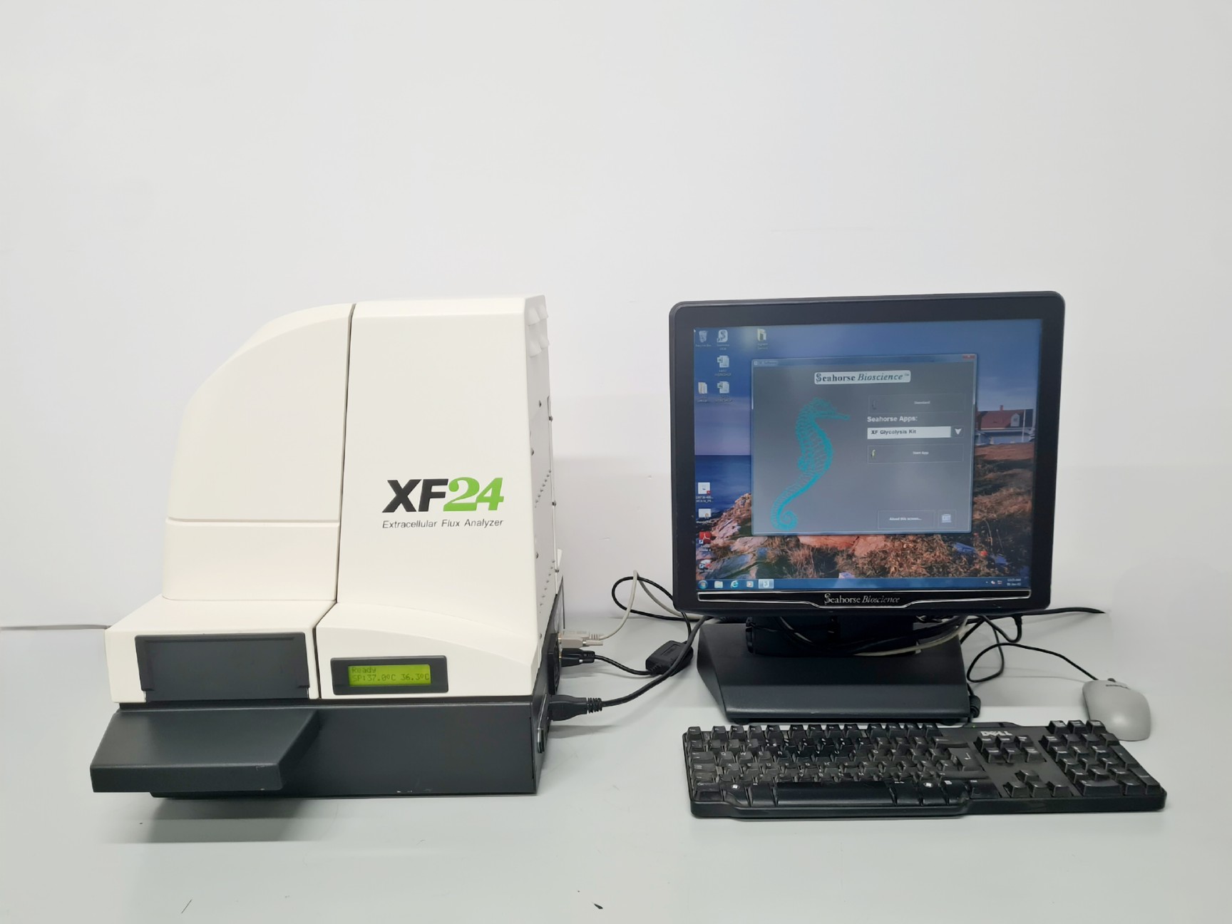 Image of Seahorse Bioscience XF24 Extracellular Flux Analyzer w/ SoftwareLab