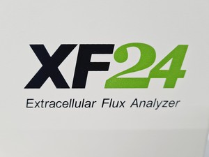 Thumbnail image of Seahorse Bioscience XF24 Extracellular Flux Analyzer Cell Counter w/ SoftwareLab