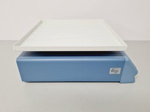 Thumbnail image of Stuart See-Saw Rocker SSL4 Lab