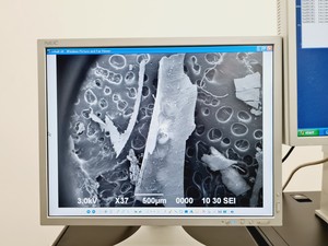 Thumbnail image of Jeol JSM-639OLV Scanning Electron Microscope With Inca X-act SEM Lab